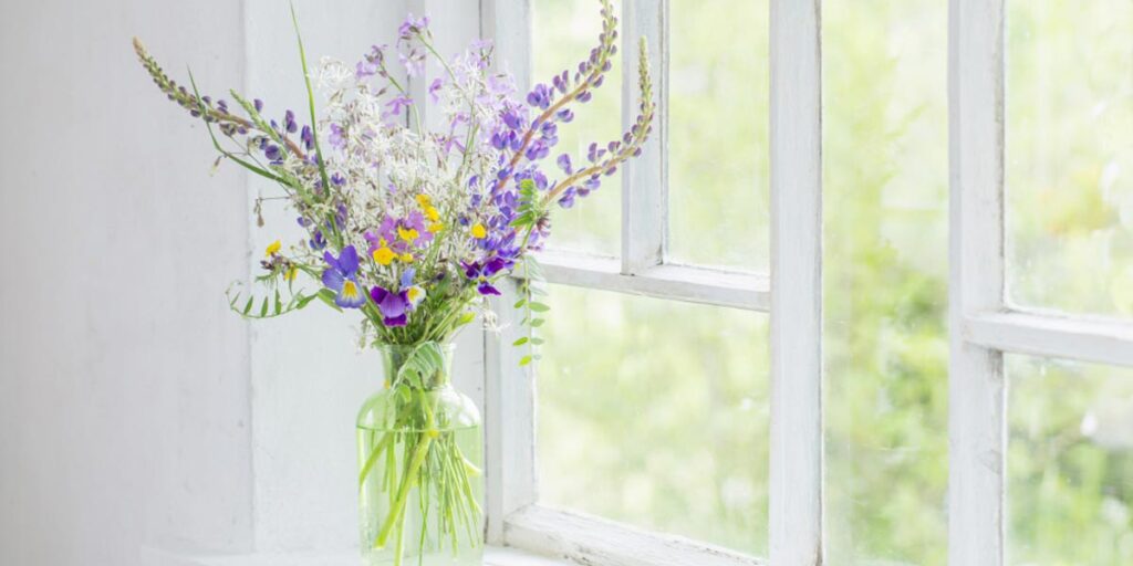 Un hogar limpio evita ataques de alergias